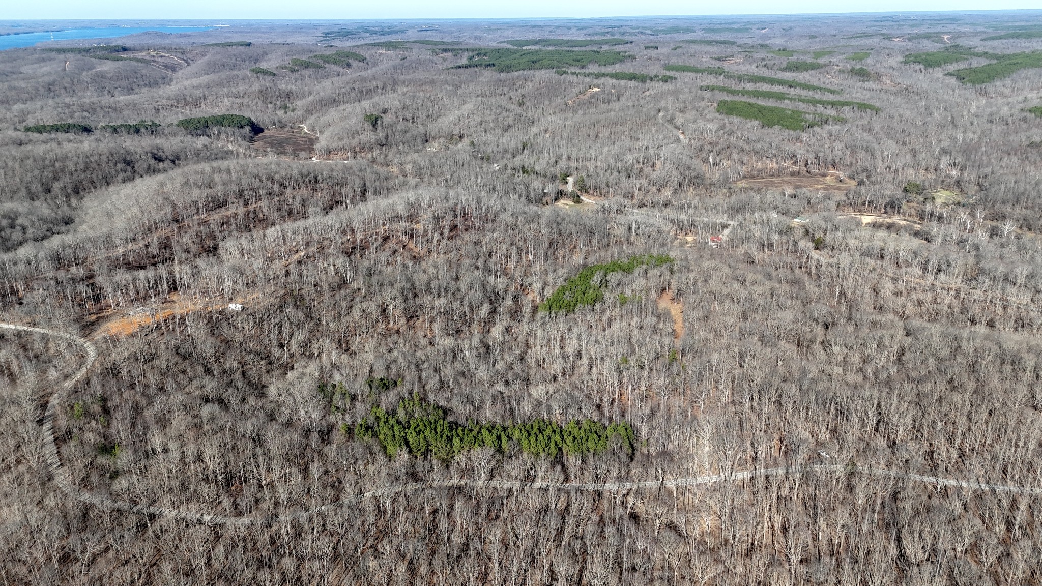0 Rocky Point Road Stewart, TN 37175 - Photo 46 of 63 a view of a dry yard with trees
