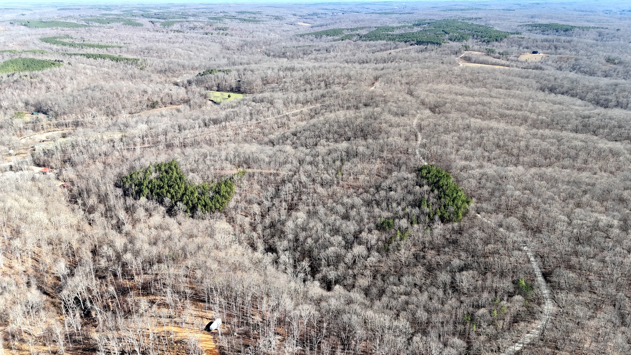 0 Rocky Point Road Stewart, TN 37175 - Photo 47 of 63 a view of a dry yard