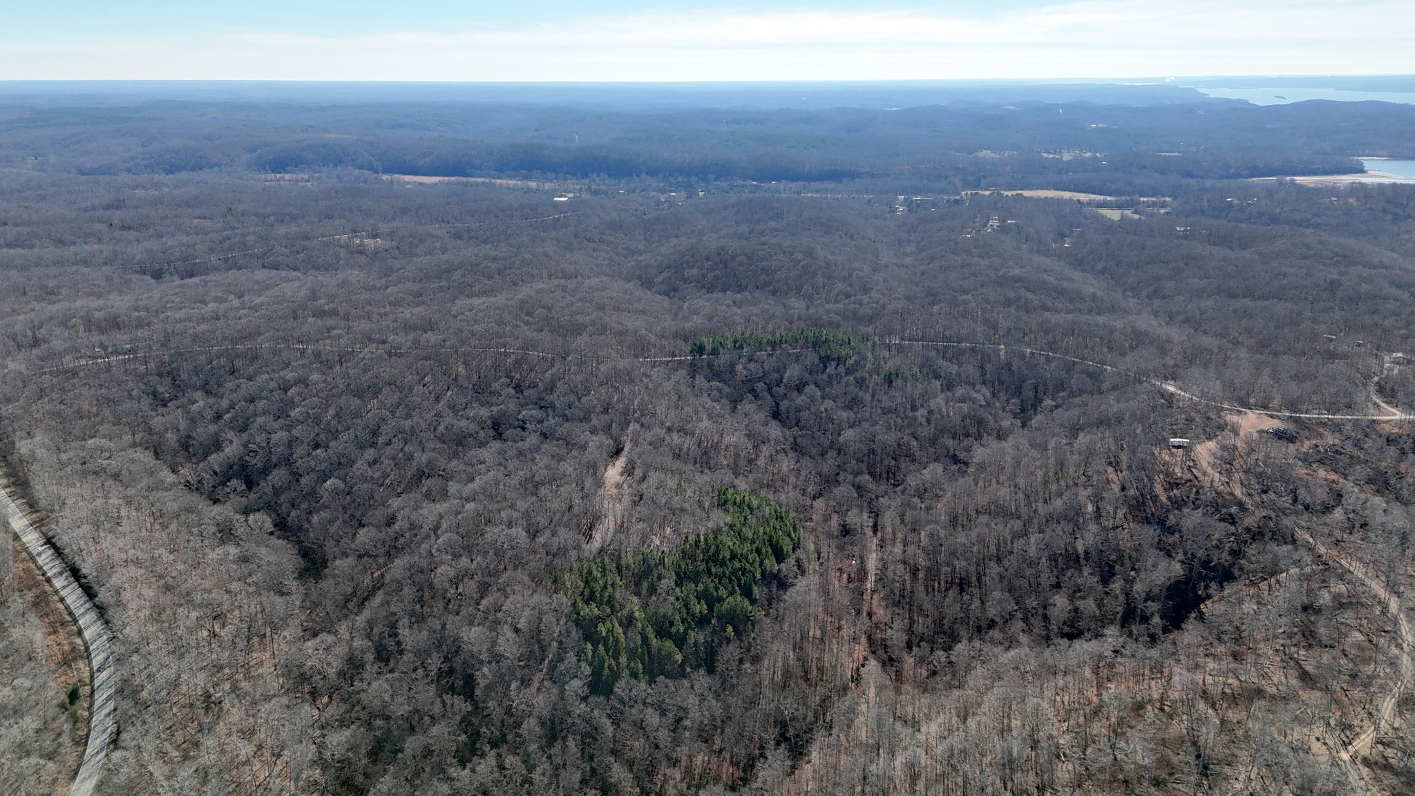 0 Rocky Point Road Stewart, TN 37175 - Photo 50 of 63 a view of a big yard with green space and fog