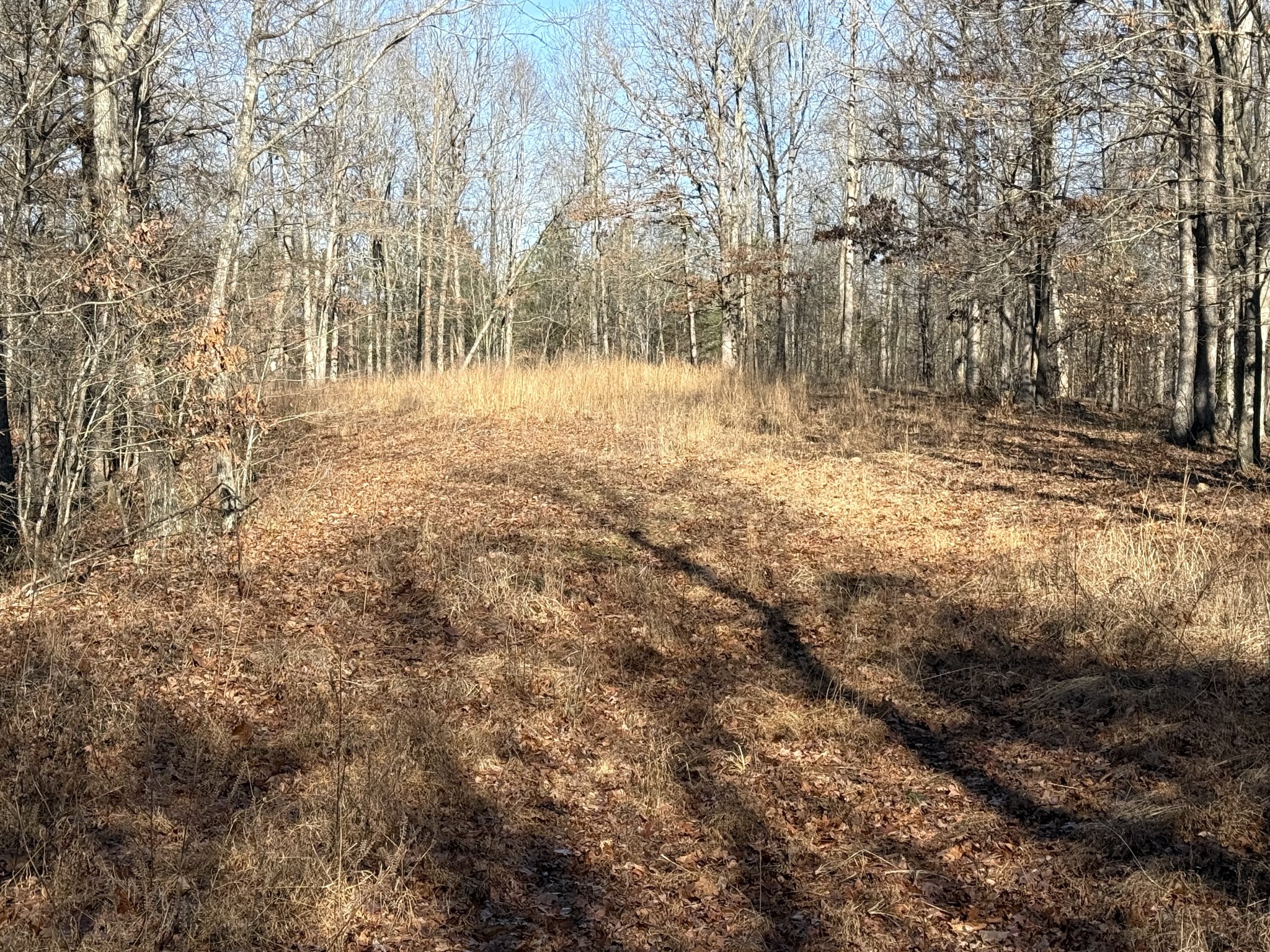 0 Rocky Point Road Stewart, TN 37175 - Photo 5 of 63