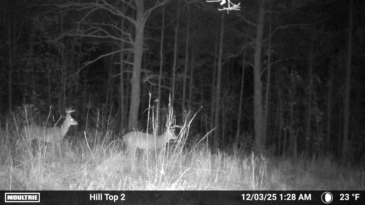 0 Rocky Point Road Stewart, TN 37175 - Photo 52 of 63