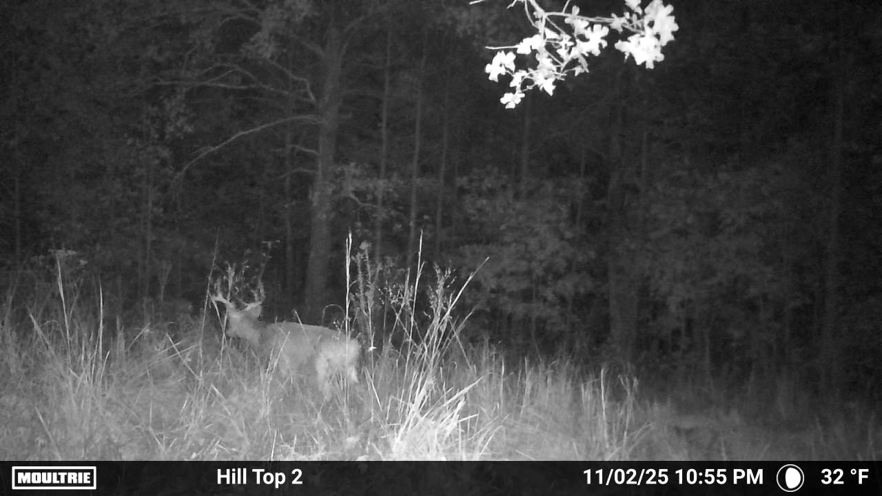 0 Rocky Point Road Stewart, TN 37175 - Photo 53 of 63 a view of entryway with wooden floor