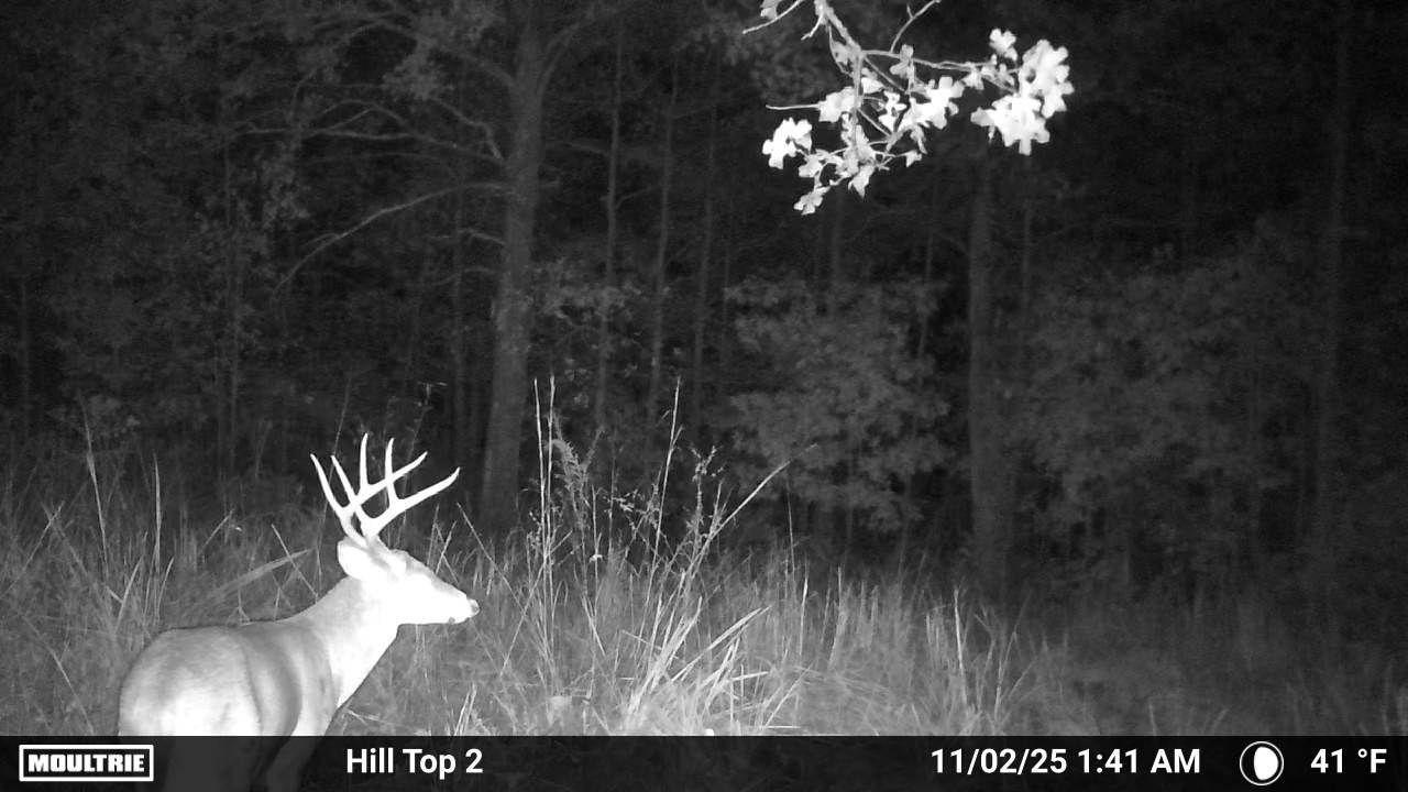 0 Rocky Point Road Stewart, TN 37175 - Photo 54 of 63