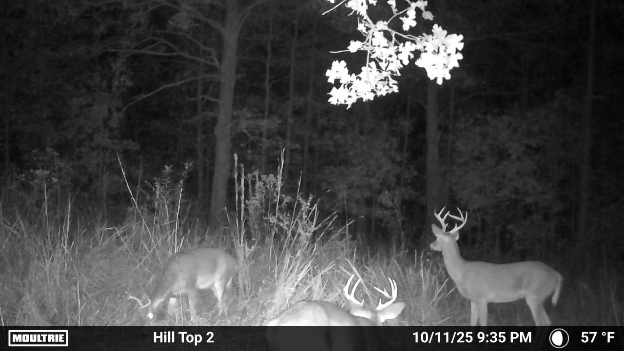 0 Rocky Point Road Stewart, TN 37175 - Photo 55 of 63 a view of a closet