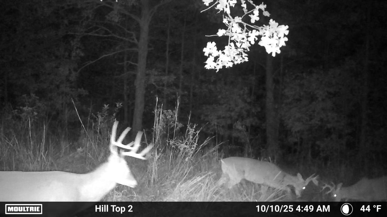0 Rocky Point Road Stewart, TN 37175 - Photo 56 of 63 a view of a entryway