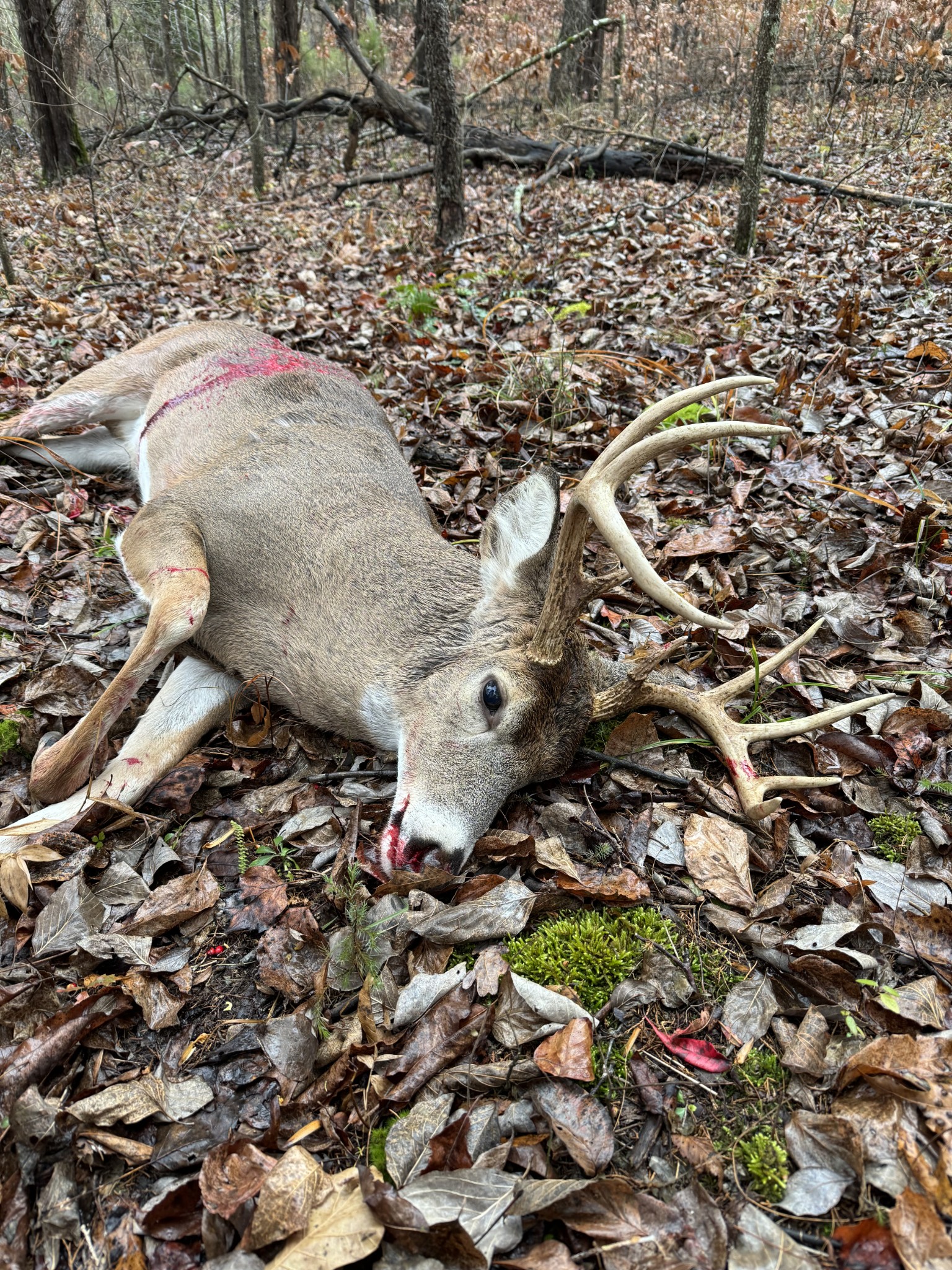 0 Rocky Point Road Stewart, TN 37175 - Photo 57 of 63