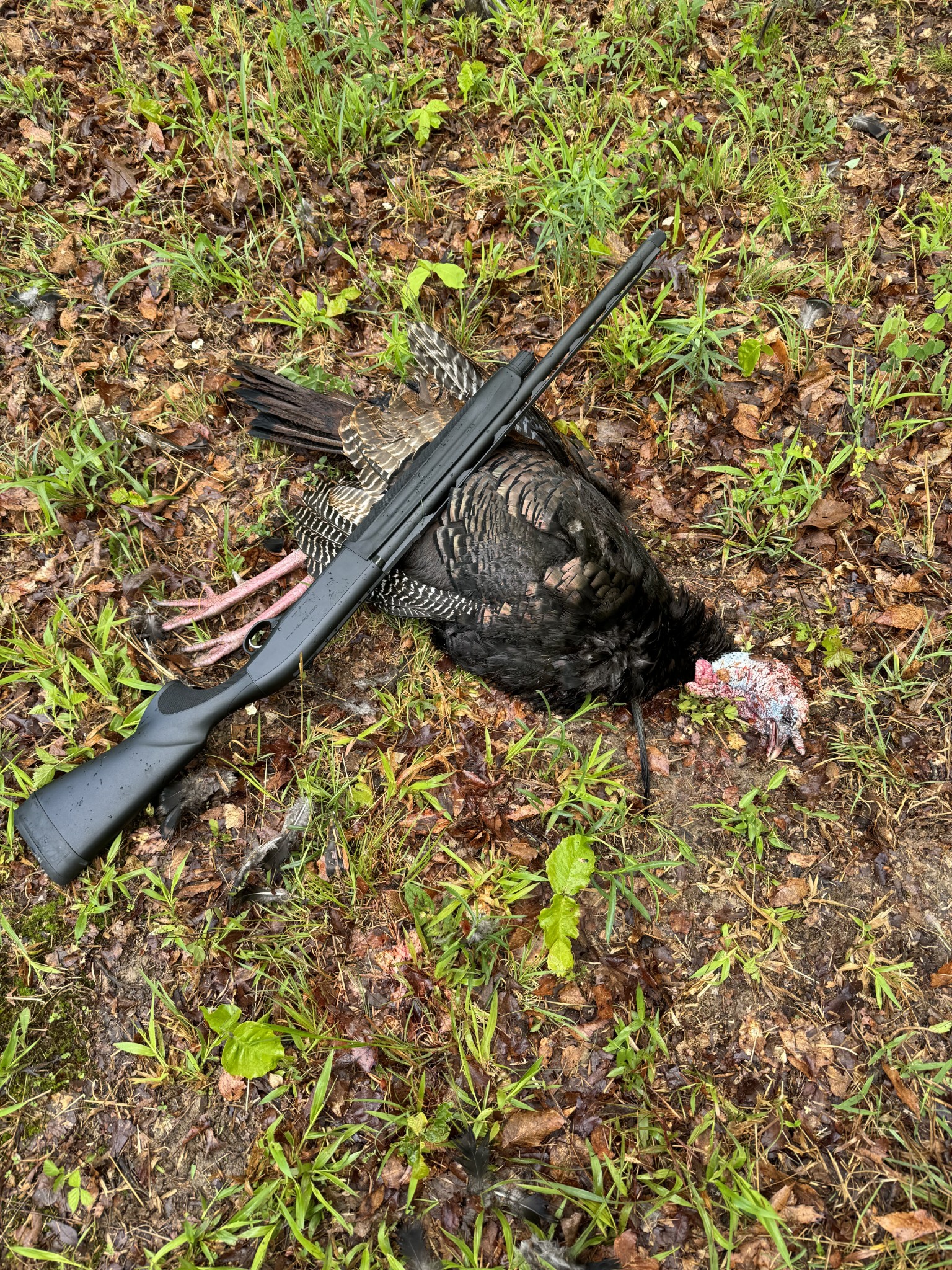 0 Rocky Point Road Stewart, TN 37175 - Photo 60 of 63