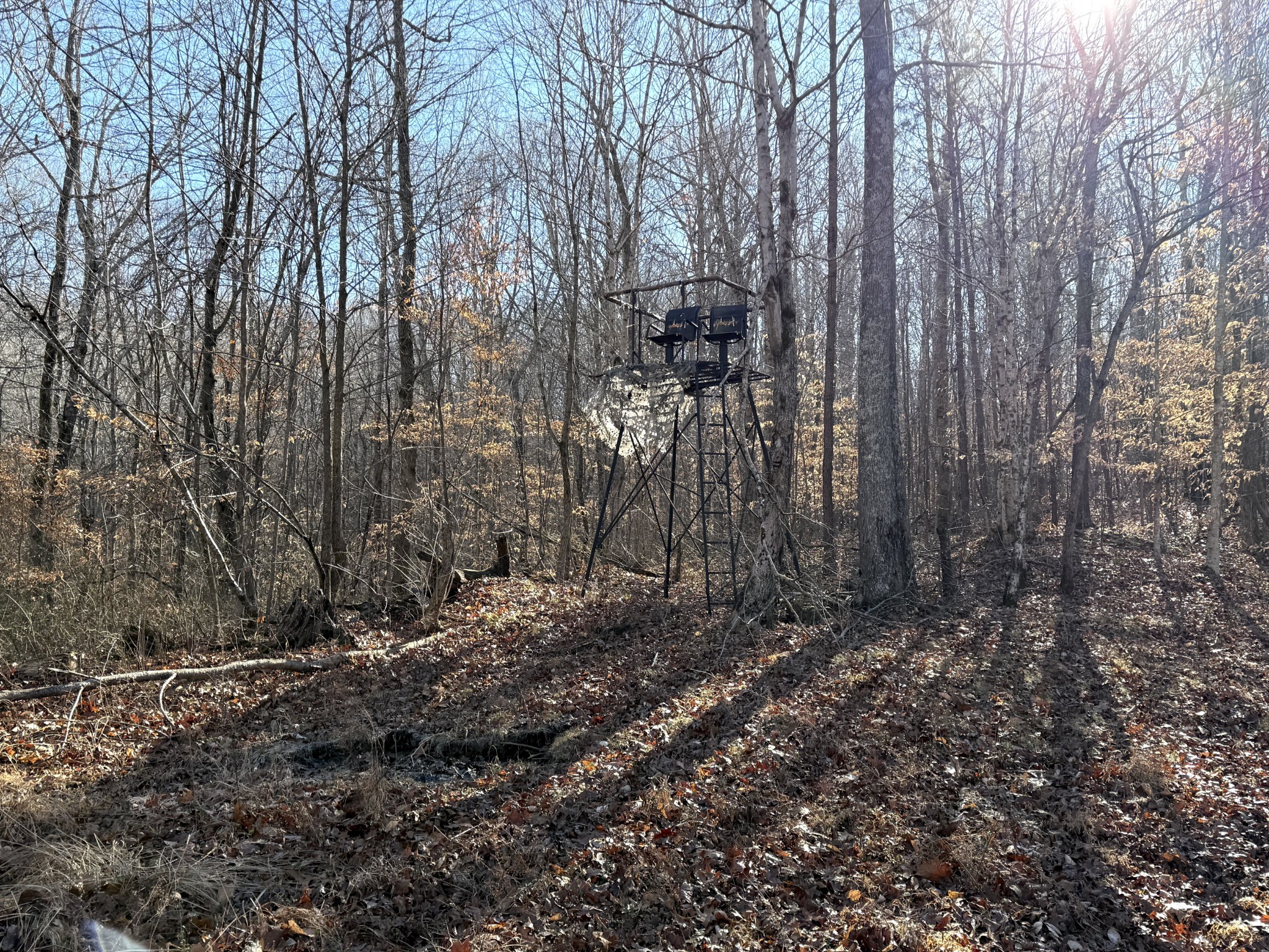 0 Rocky Point Road Stewart, TN 37175 - Photo 6 of 63