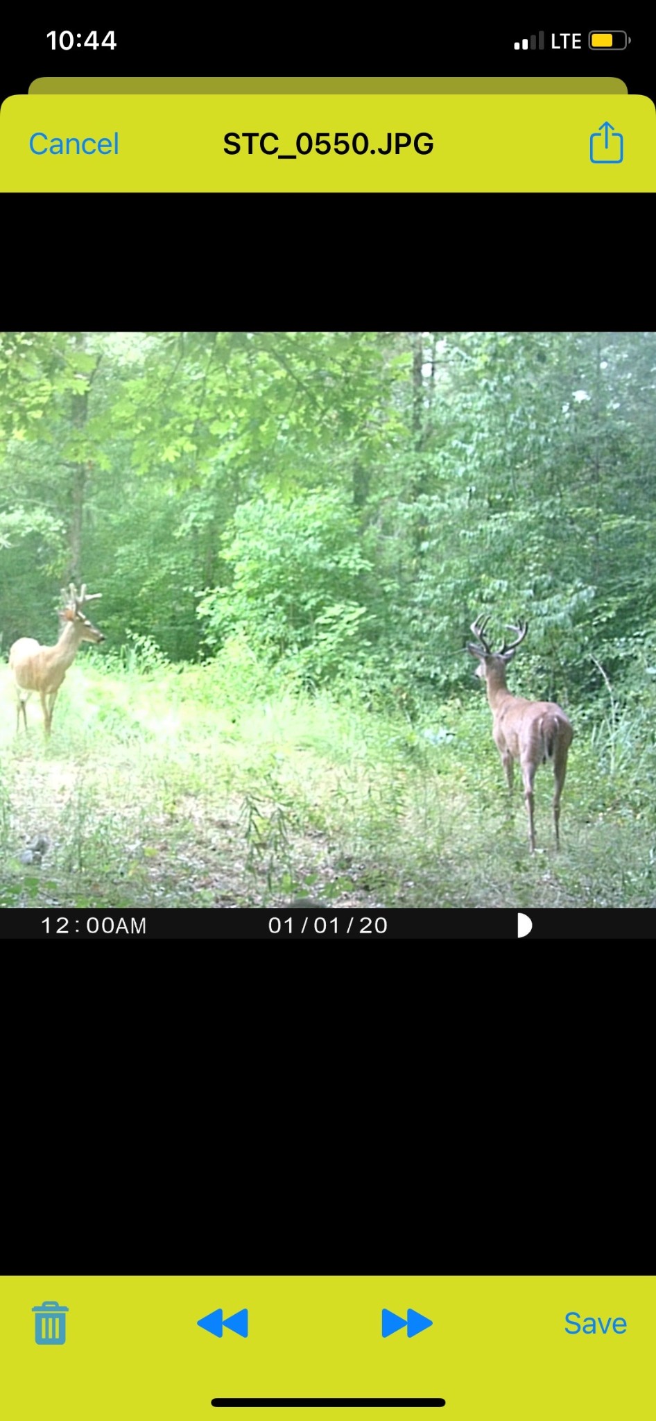 0 Rocky Point Road Stewart, TN 37175 - Photo 61 of 63 a view of an outdoor space and yard