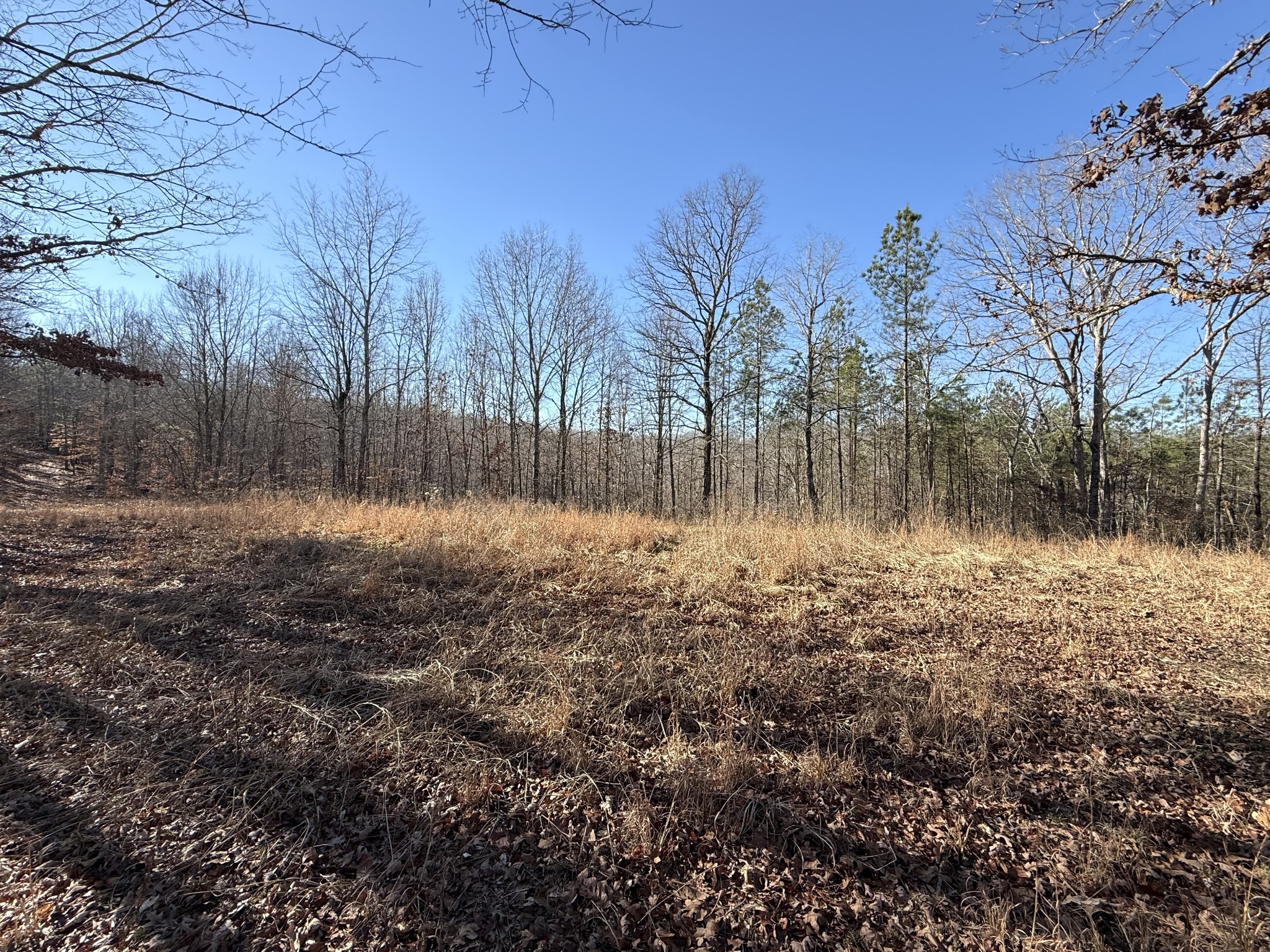 0 Rocky Point Road Stewart, TN 37175 - Photo 7 of 63