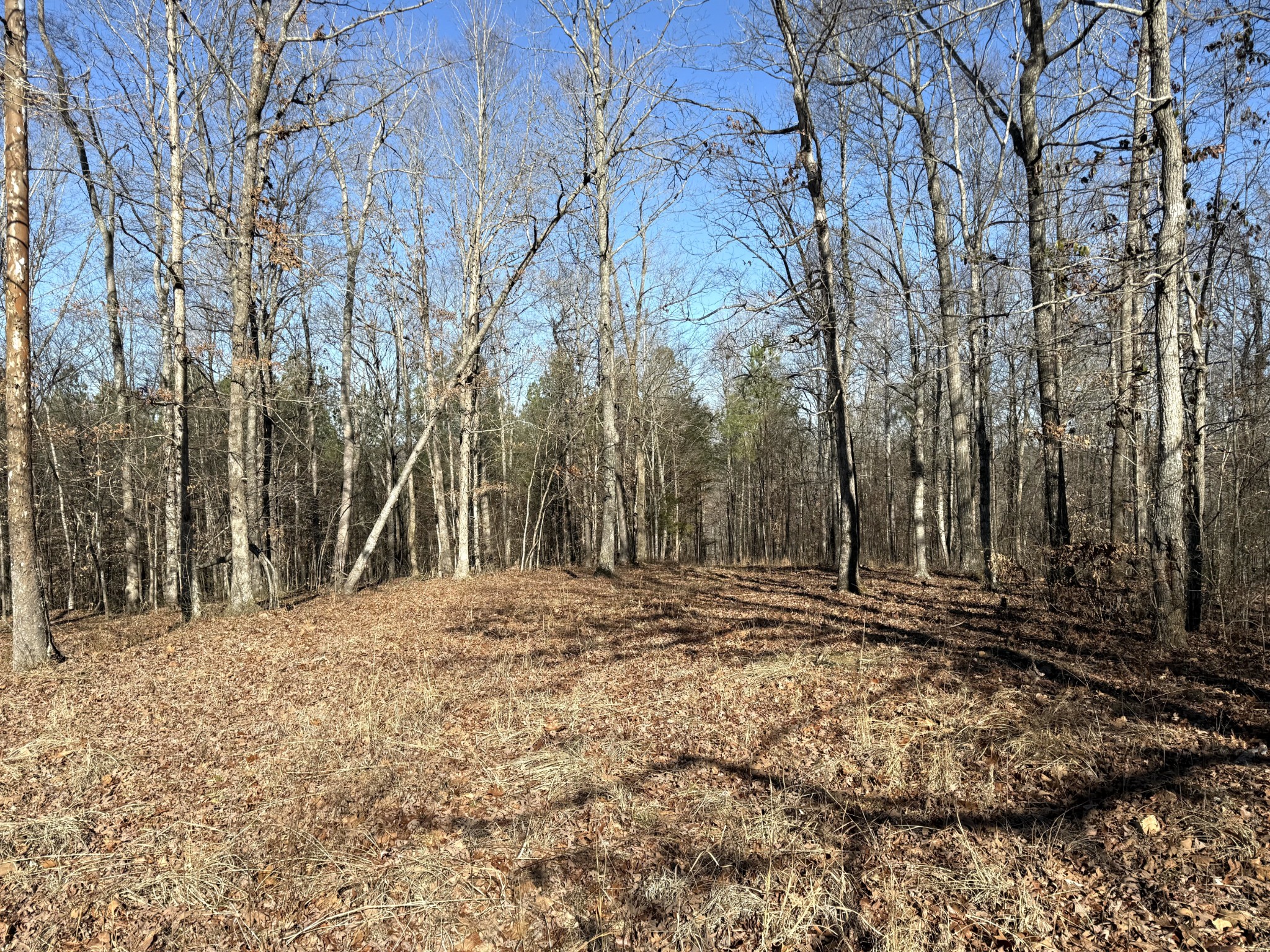 0 Rocky Point Road Stewart, TN 37175 - Photo 8 of 63