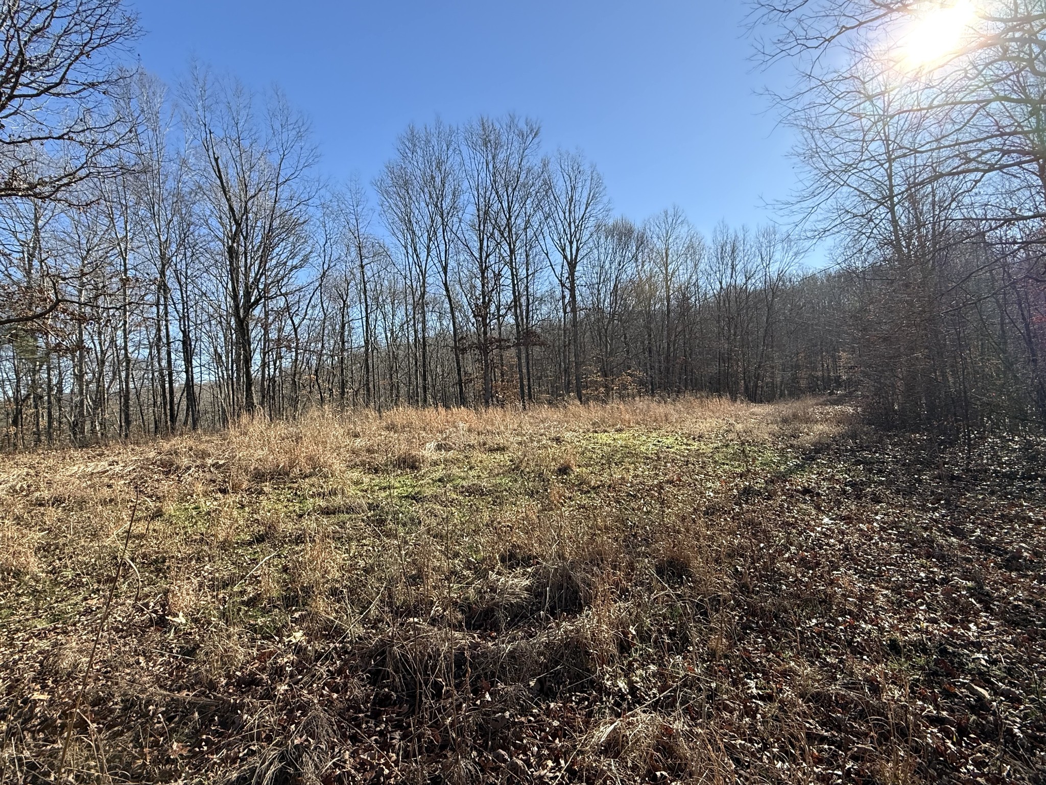 0 Rocky Point Road Stewart, TN 37175 - Photo 9 of 63