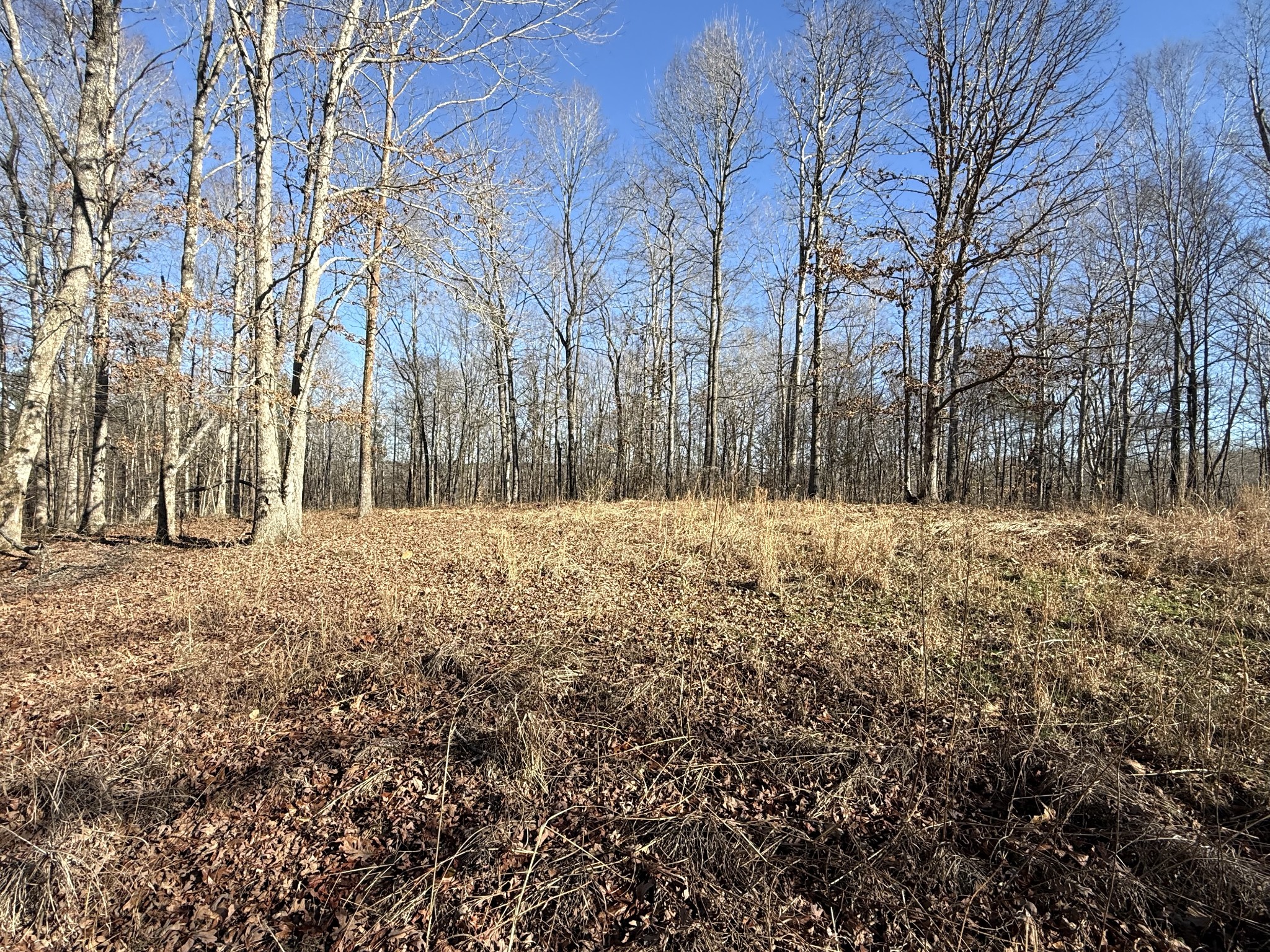 0 Rocky Point Road Stewart, TN 37175 - Photo 10 of 63