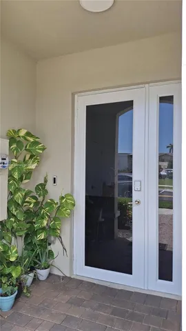 a potted plant is sitting in front of a house