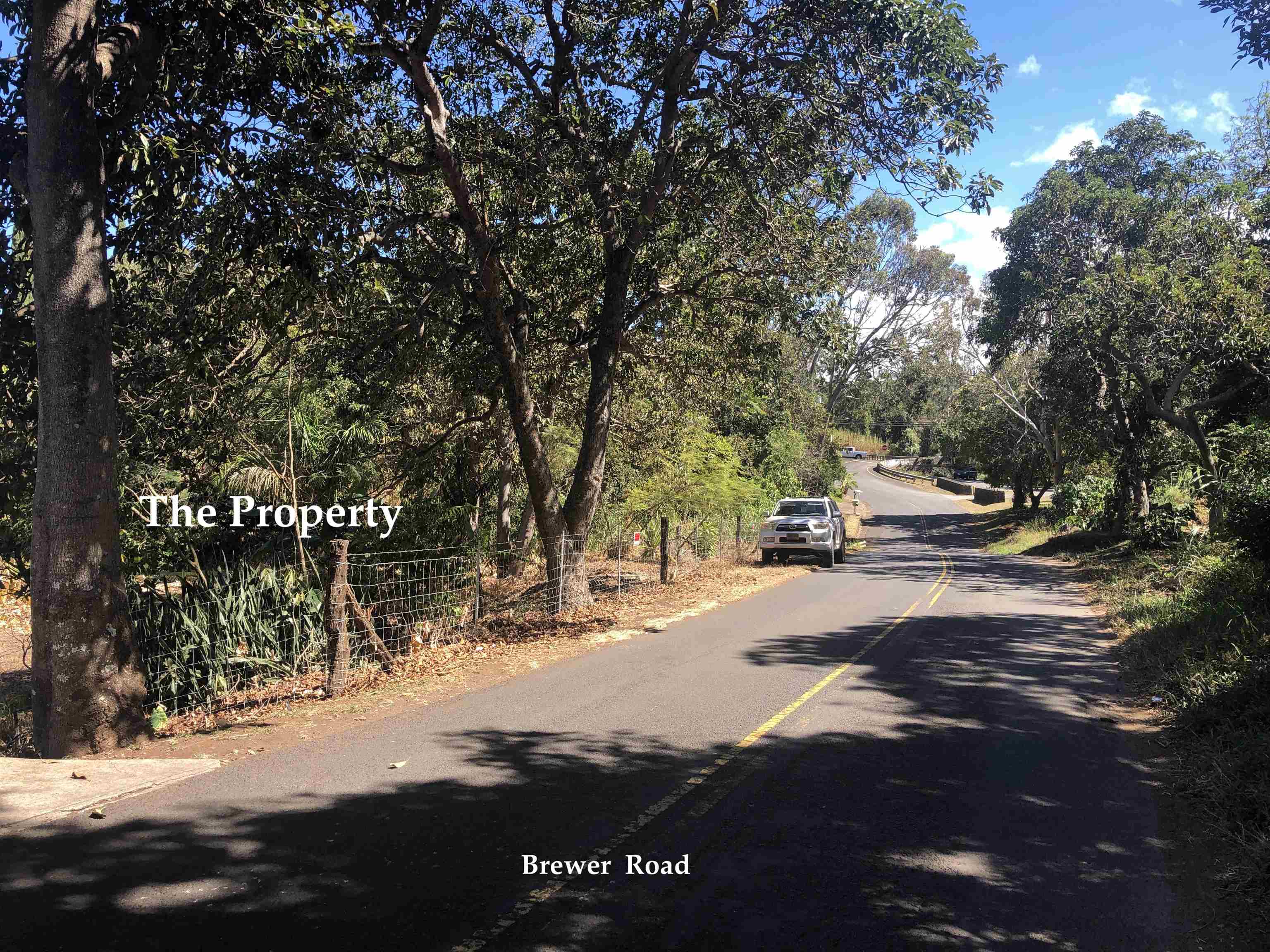 0 Brewer Road Makawao, HI 96768 - Photo 2 of 11