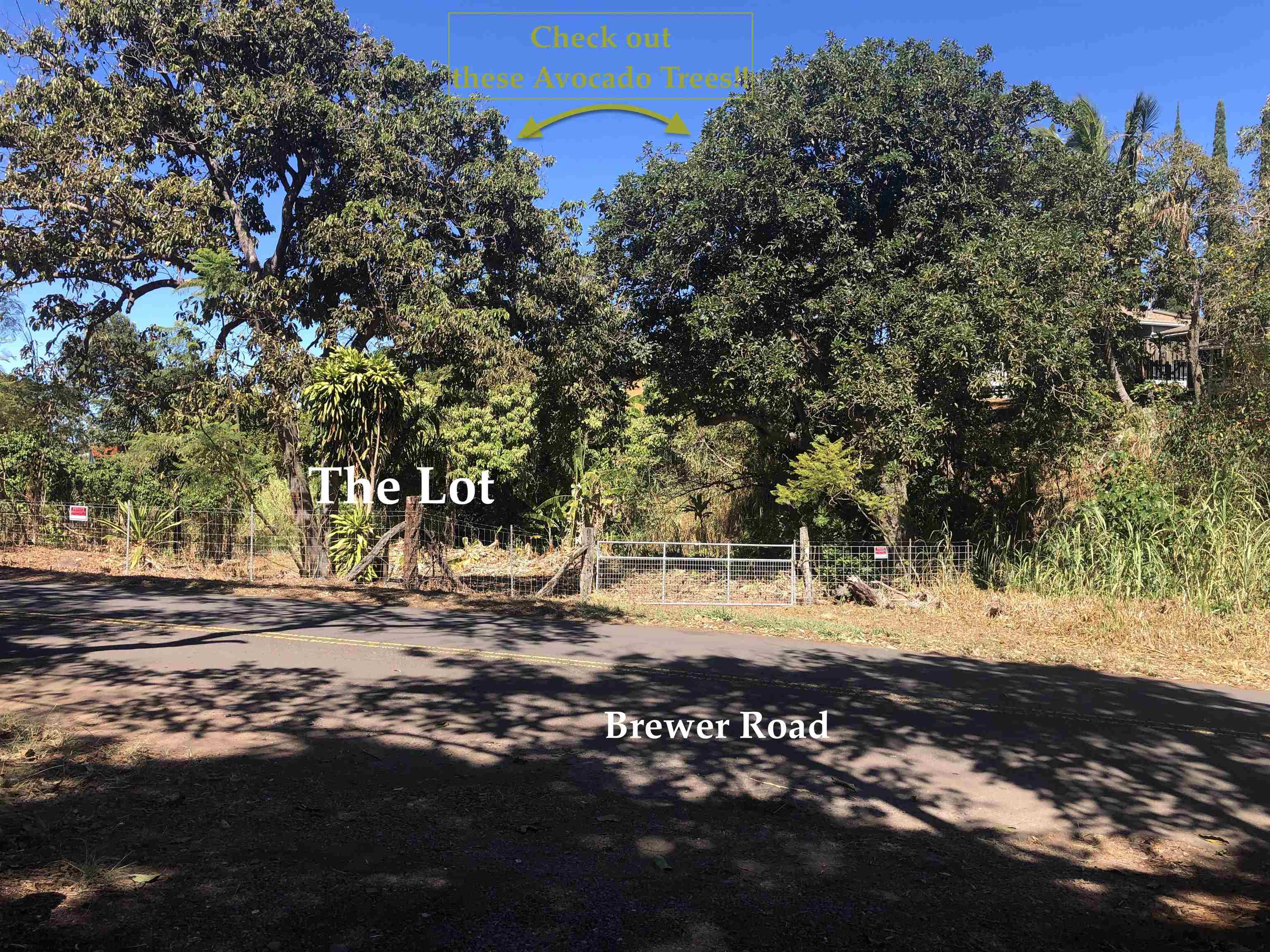 0 Brewer Road Makawao, HI 96768 - Photo 5 of 11