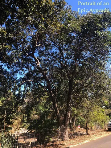 $675,000 | 0 Brewer Road, Makawao, HI 96768