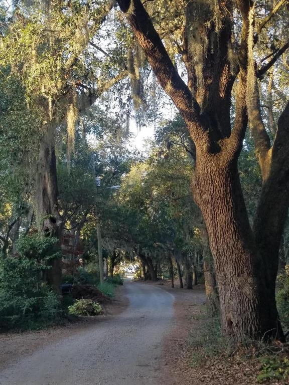 562 Fort Johnson Road Charleston, SC 29412 - Photo 50 of 52 May Forest