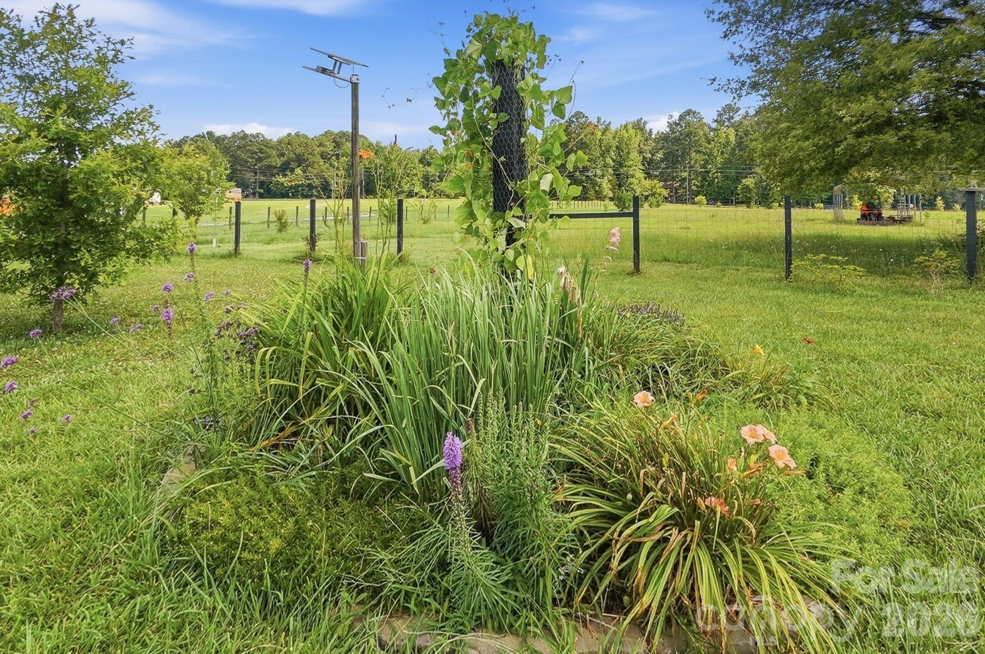 650 State Rd S-46-167 York, SC 29745 - Photo 39 of 44
