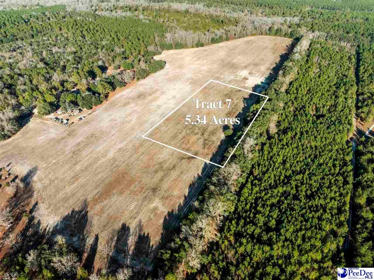 7 Off Flinn Road Manning, SC 29102 - Photo 1 of 13 Gallery Image 1