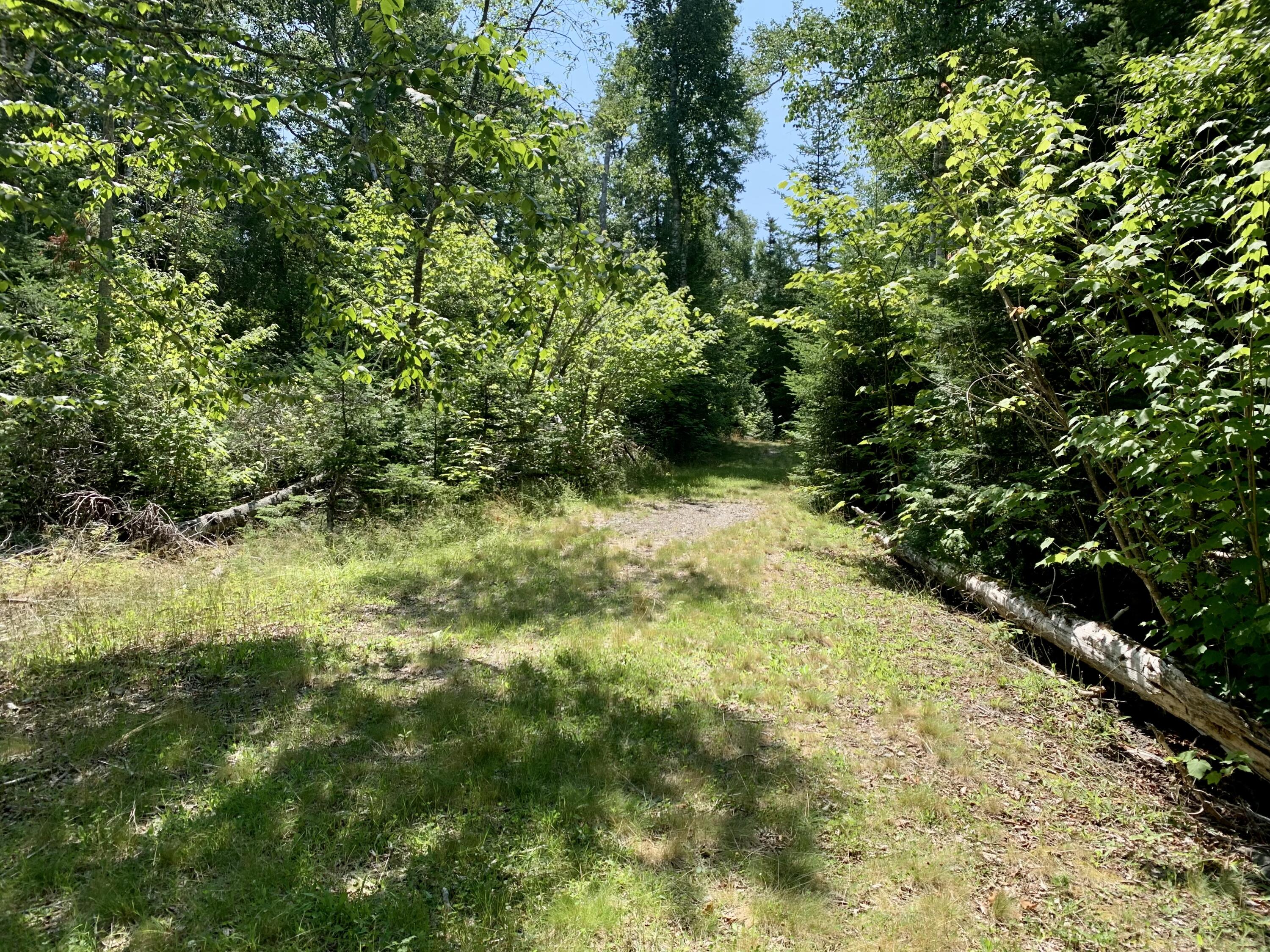 Lot 8 North Shores Road Lubec, ME 04652 - Photo 22 of 25 IMG_5424