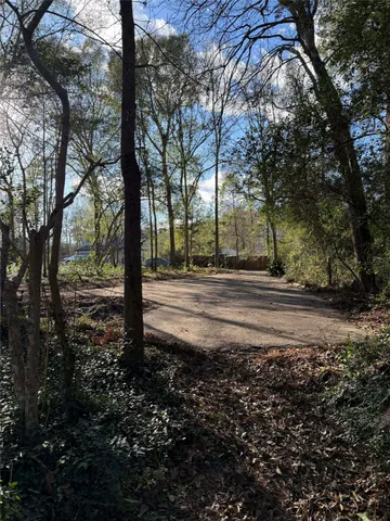 a view of dirt yard with a large tree