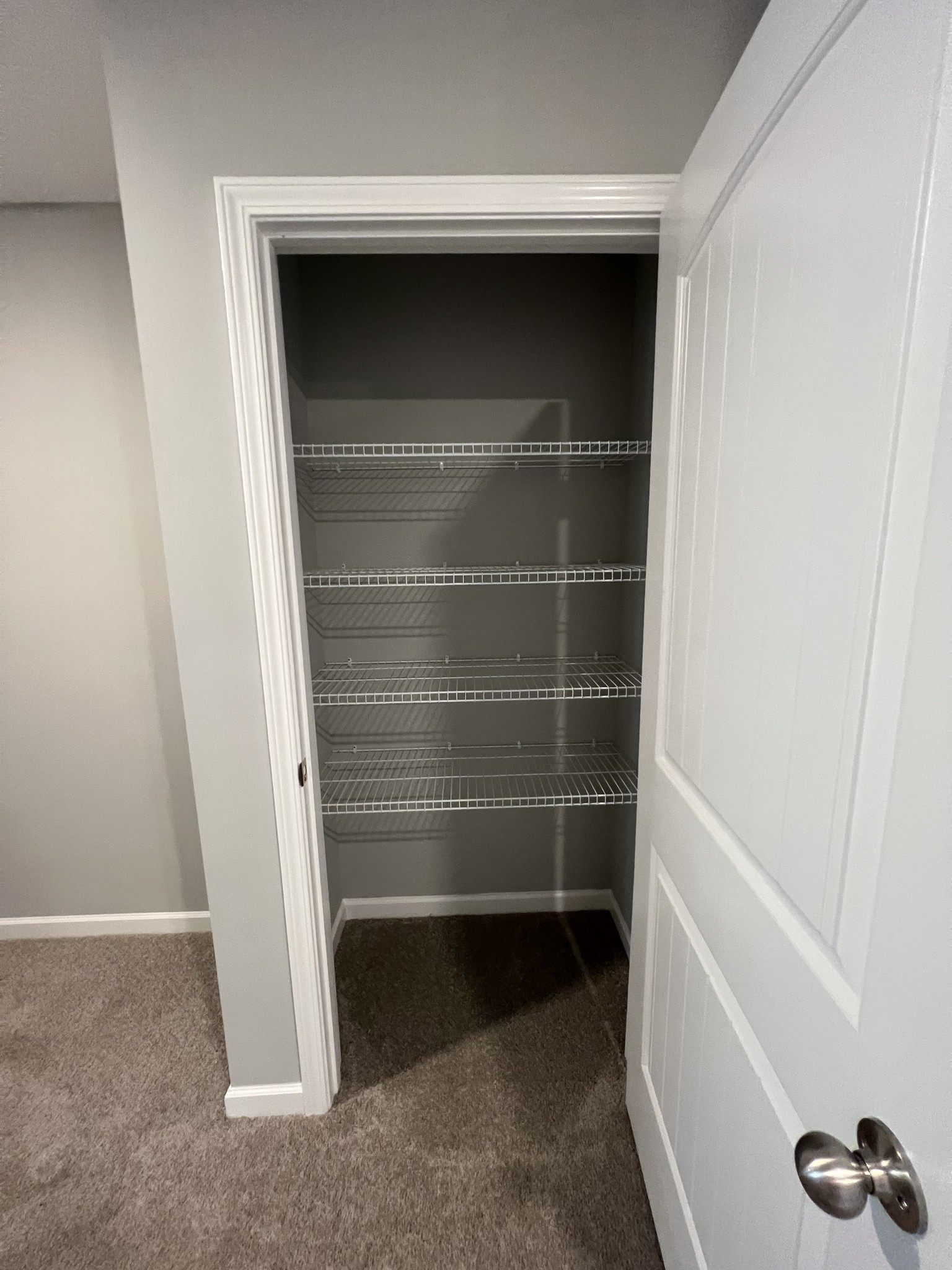 5741 Dockside Drive Rockvale, TN 37153 - Photo 19 of 22 a view of walk in closet with empty racks