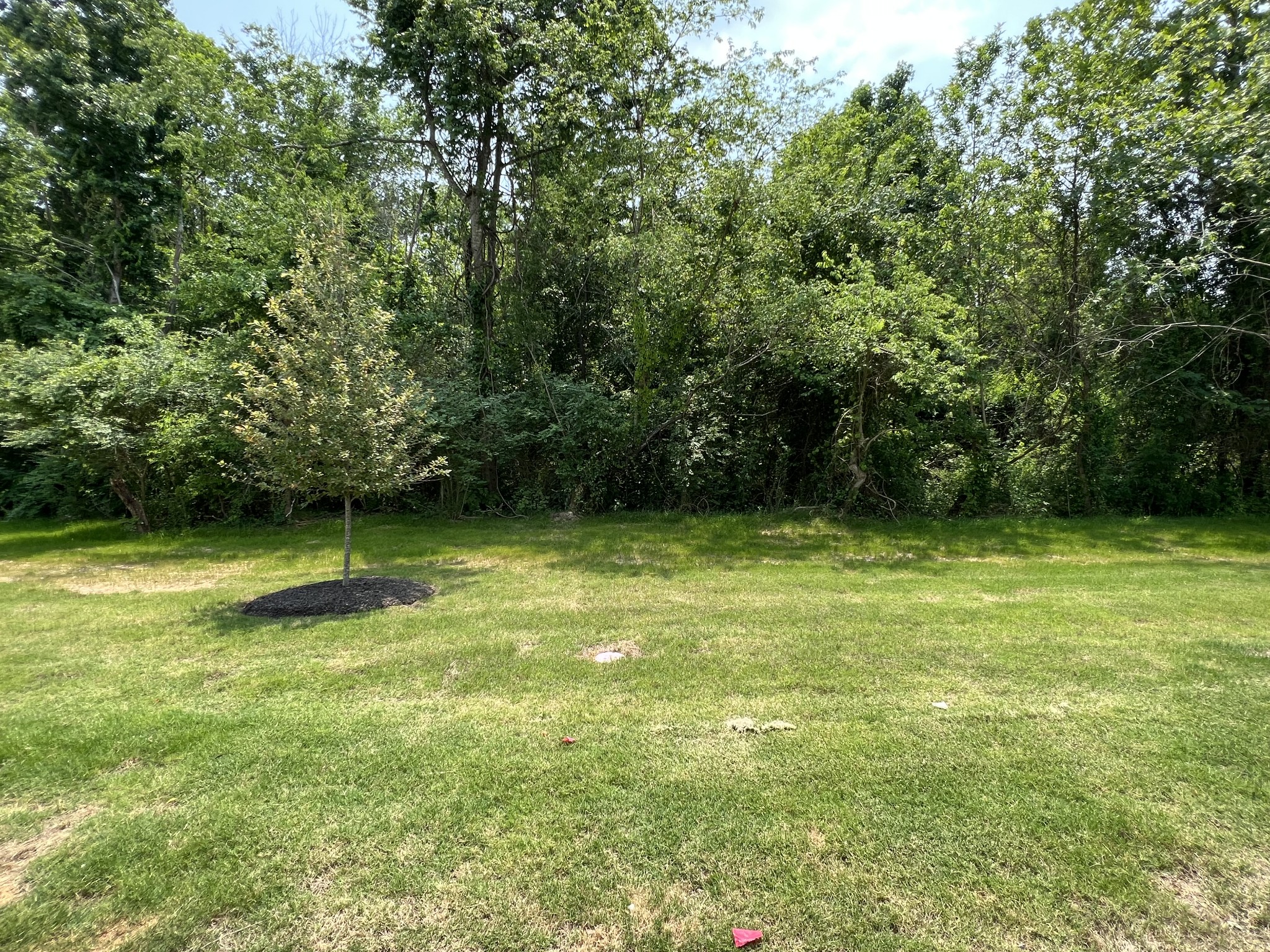 5741 Dockside Drive Rockvale, TN 37153 - Photo 20 of 22 a view of a green yard