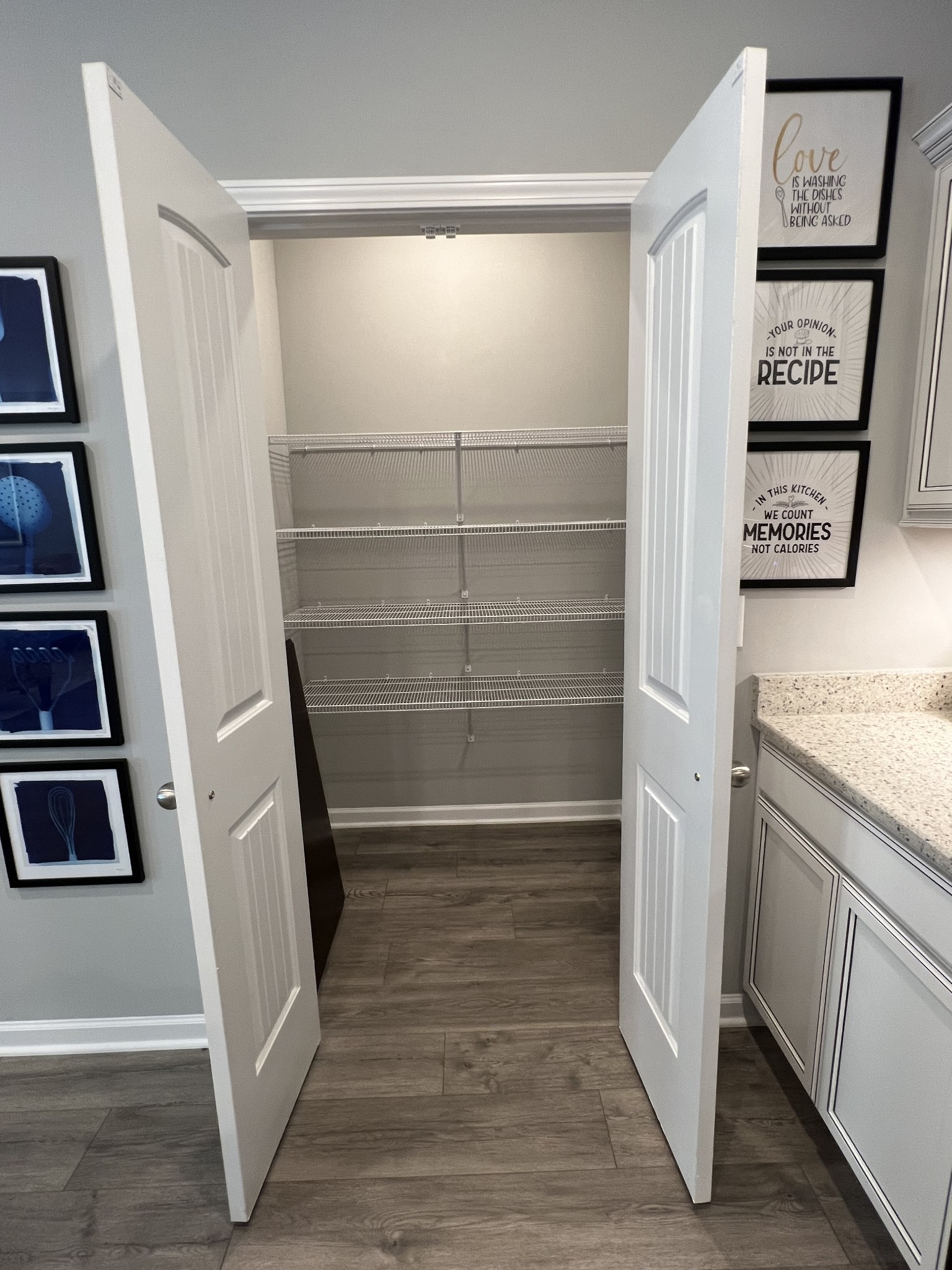 5741 Dockside Drive Rockvale, TN 37153 - Photo 8 of 22 a view of walk in closet with empty racks