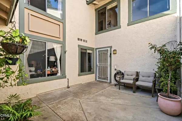 a potted plant sitting in front of a door