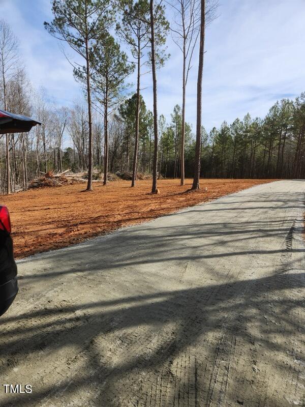 0 Dalton Mill Road Bullock, NC 27507 - Photo 1 of 8 Pic 4
