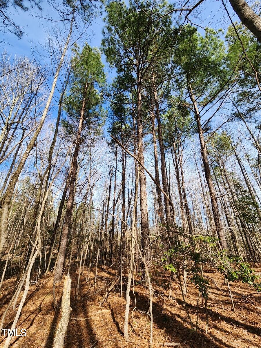 0 Dalton Mill Road Bullock, NC 27507 - Photo 3 of 8 Pic 7