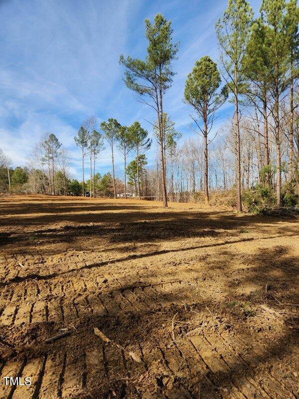 0 Dalton Mill Road Bullock, NC 27507 - Photo 7 of 8 Pic 6