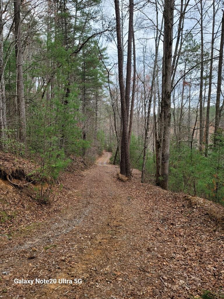 Tbd Owassa Road Murphy, NC 28906 - Photo 10 of 13 a view of a forest with trees