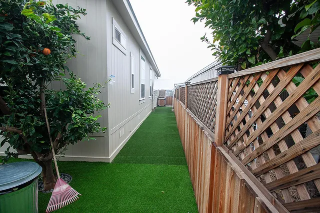 a view of a backyard with potted plants and a large tree