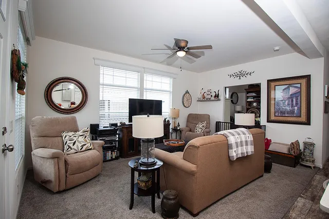 a living room with furniture a rug and a window