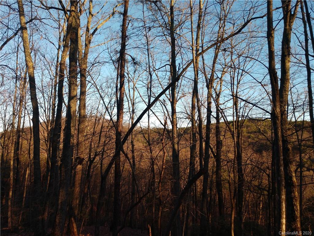 6577 Ward Gap Road Casar, NC 28020 - Photo 2 of 9 Gallery Image 2