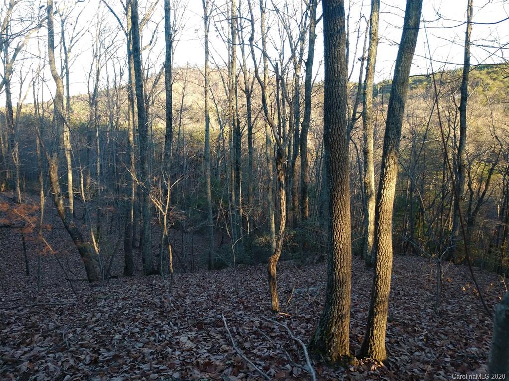6577 Ward Gap Road Casar, NC 28020 - Photo 5 of 9 Gallery Image 5