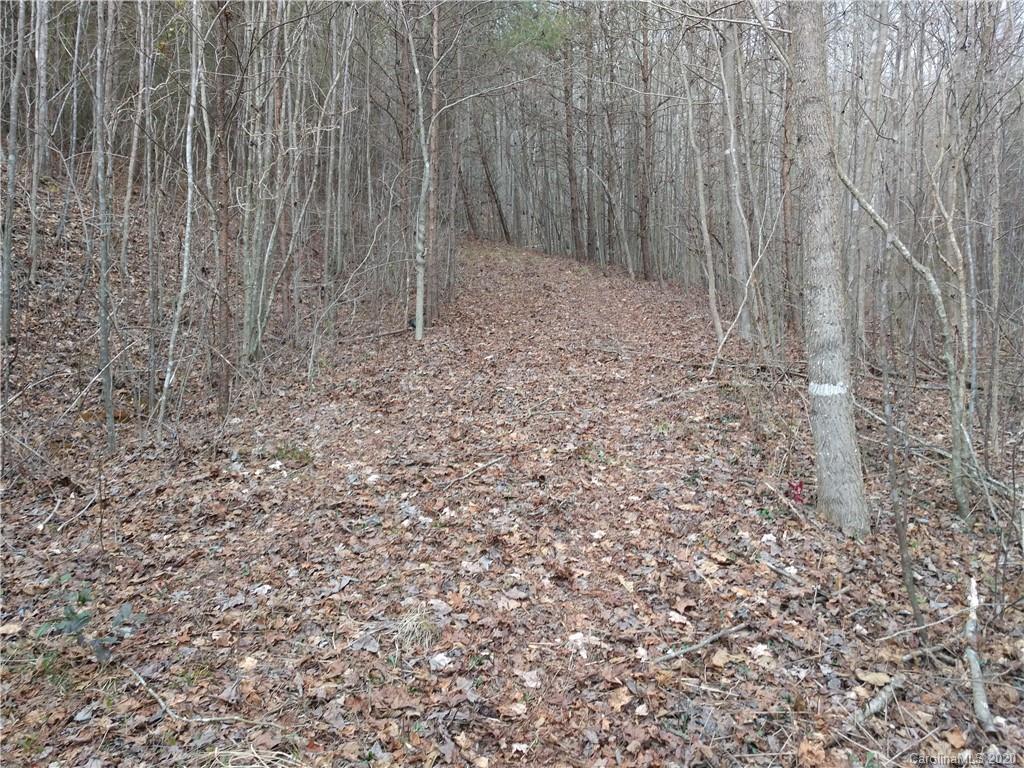 6577 Ward Gap Road Casar, NC 28020 - Photo 7 of 9 Gallery Image 7