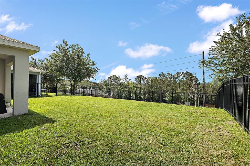 1292 Cavender Creek Road Minneola, FL 34715 - Photo 28 of 36 a backyard of a house with lots of green space