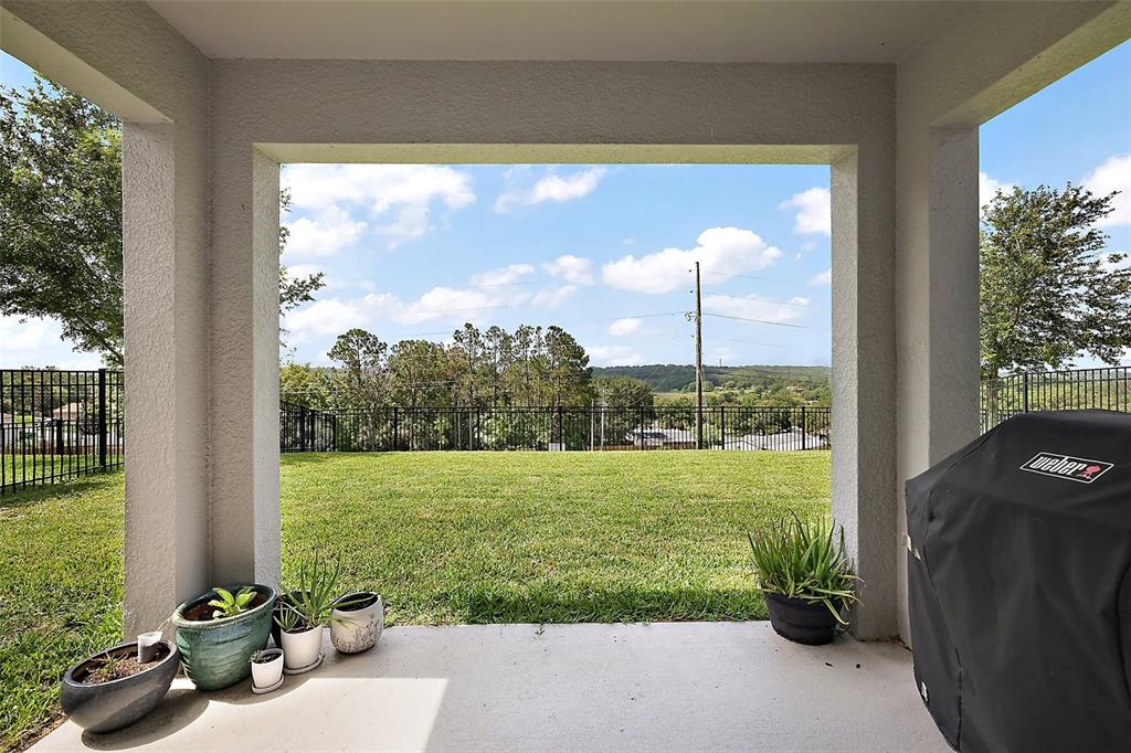 1292 Cavender Creek Road Minneola, FL 34715 - Photo 31 of 36 a view of a backyard with plants and a garden
