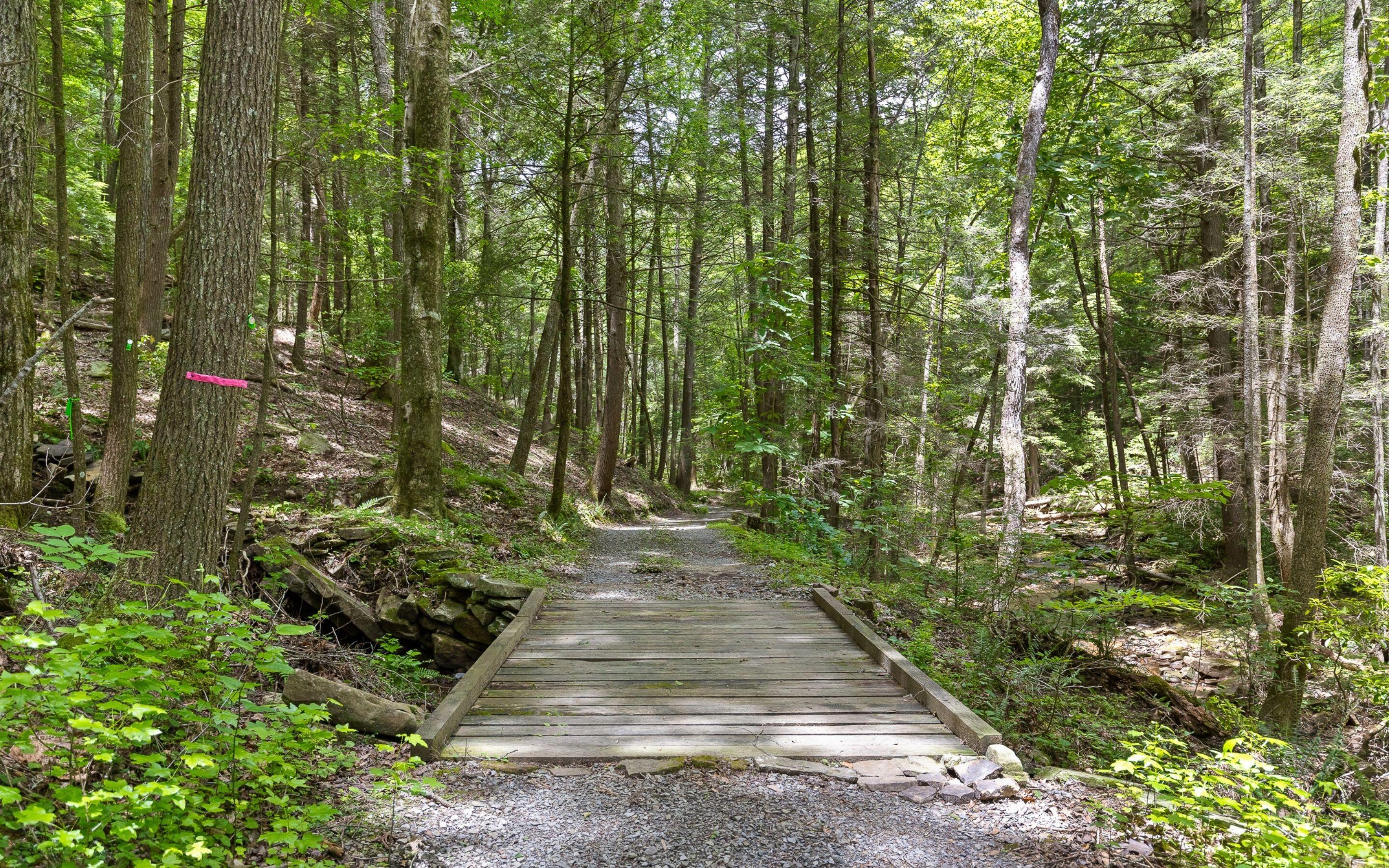 Lot 547 Wilderness Way Dunlap, TN 37327 - Photo 7 of 17 Community Trails