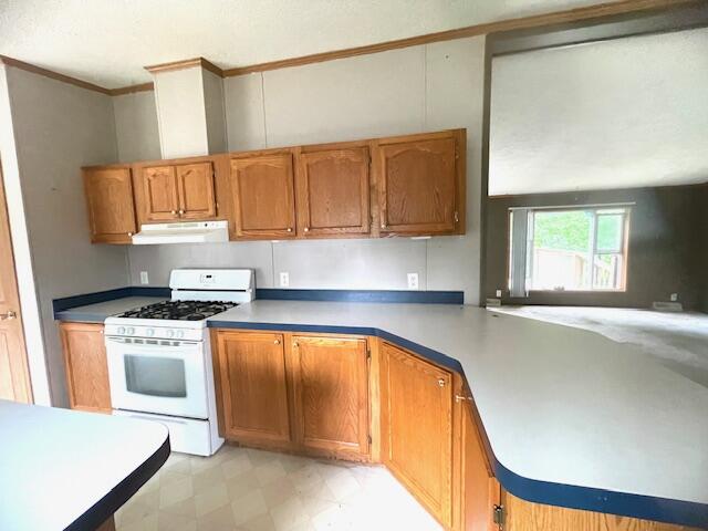 1702 Munith Road Jackson, MI 49201 - Photo 6 of 32 IMG_2571