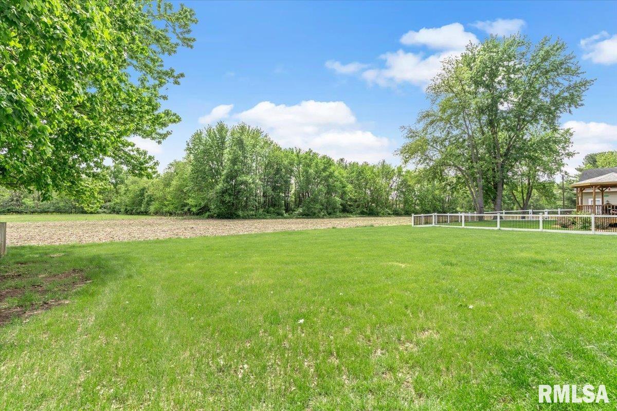 1204 Harmony Court Springfield, IL 62703 - Photo 31 of 35