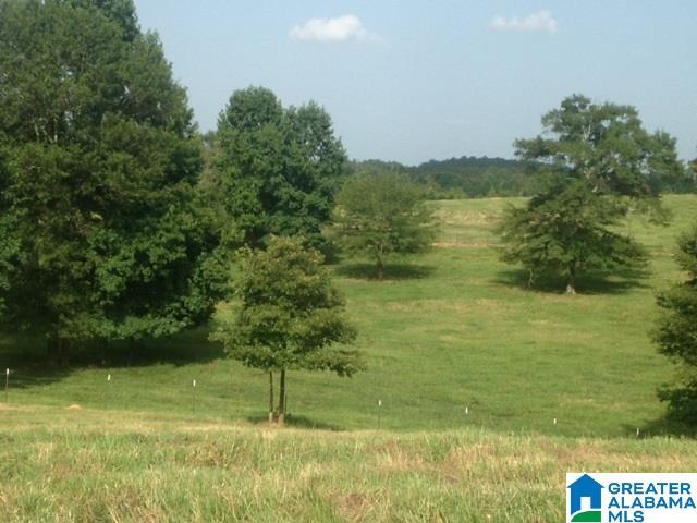 5425 Eastmill Road Lineville, AL 36266 - Photo 25 of 29 Gallery Image 25