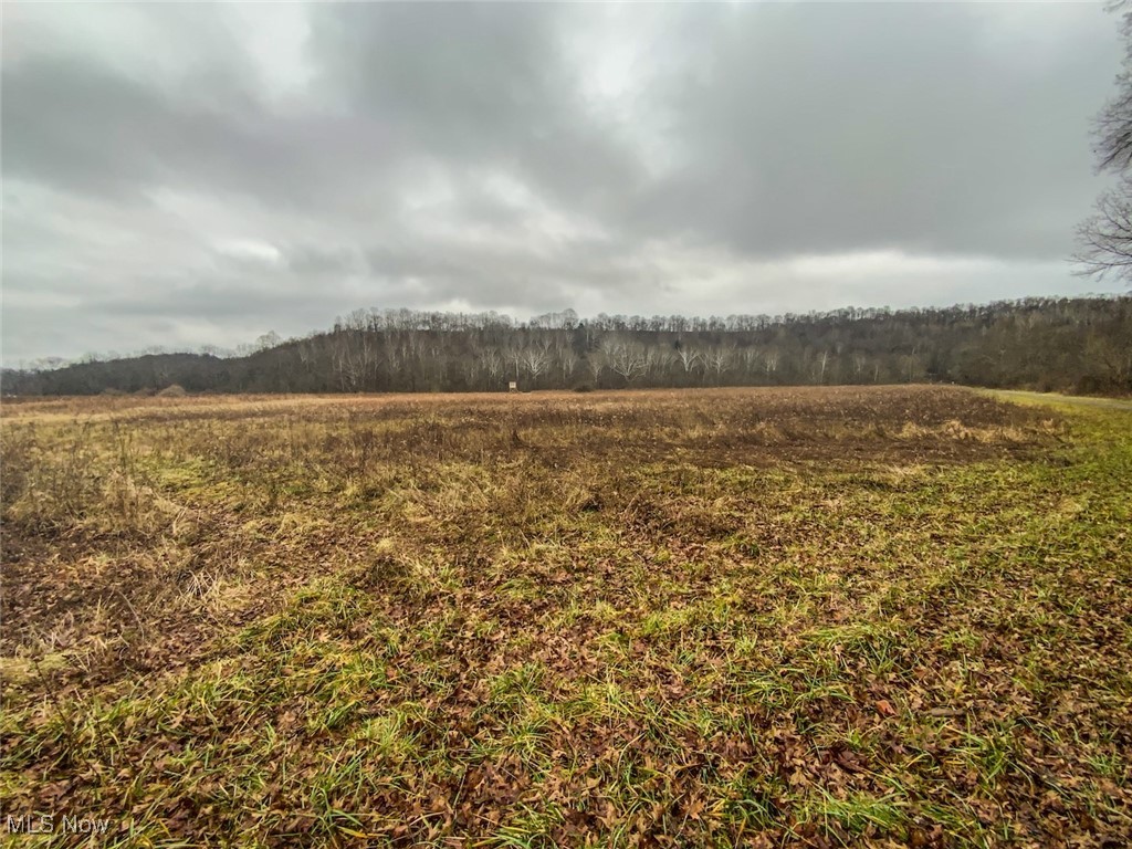 0 Wells Road Middleport, OH 45760 - Photo 8 of 27 View of yard featuring a view of countryside and a forest view