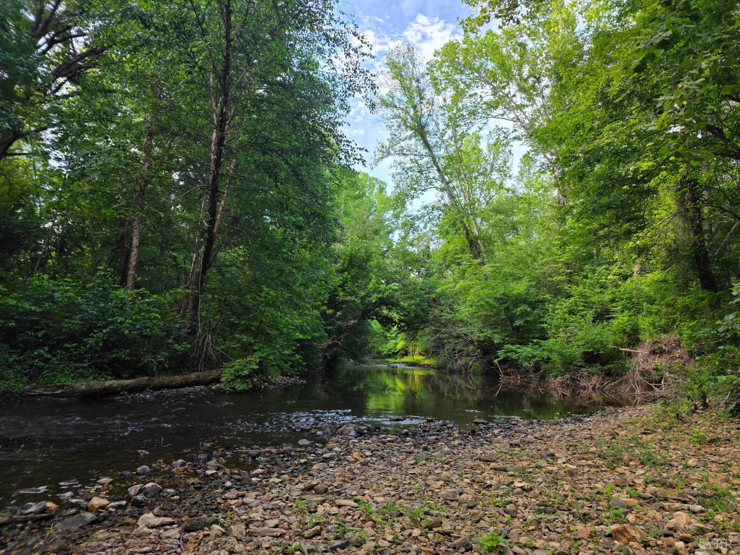1408 Coleman Mountain Road Appomattox, VA 24522 - Photo 77 of 85 a backyard of a house with lots of green space