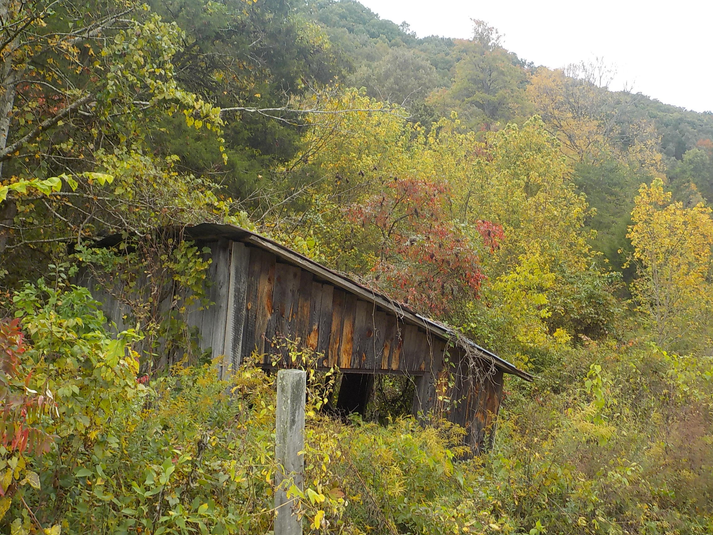Cracker Neck Road Washburn, TN 37888 - Photo 1 of 30 051