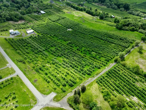 a view of a green yard with large trees