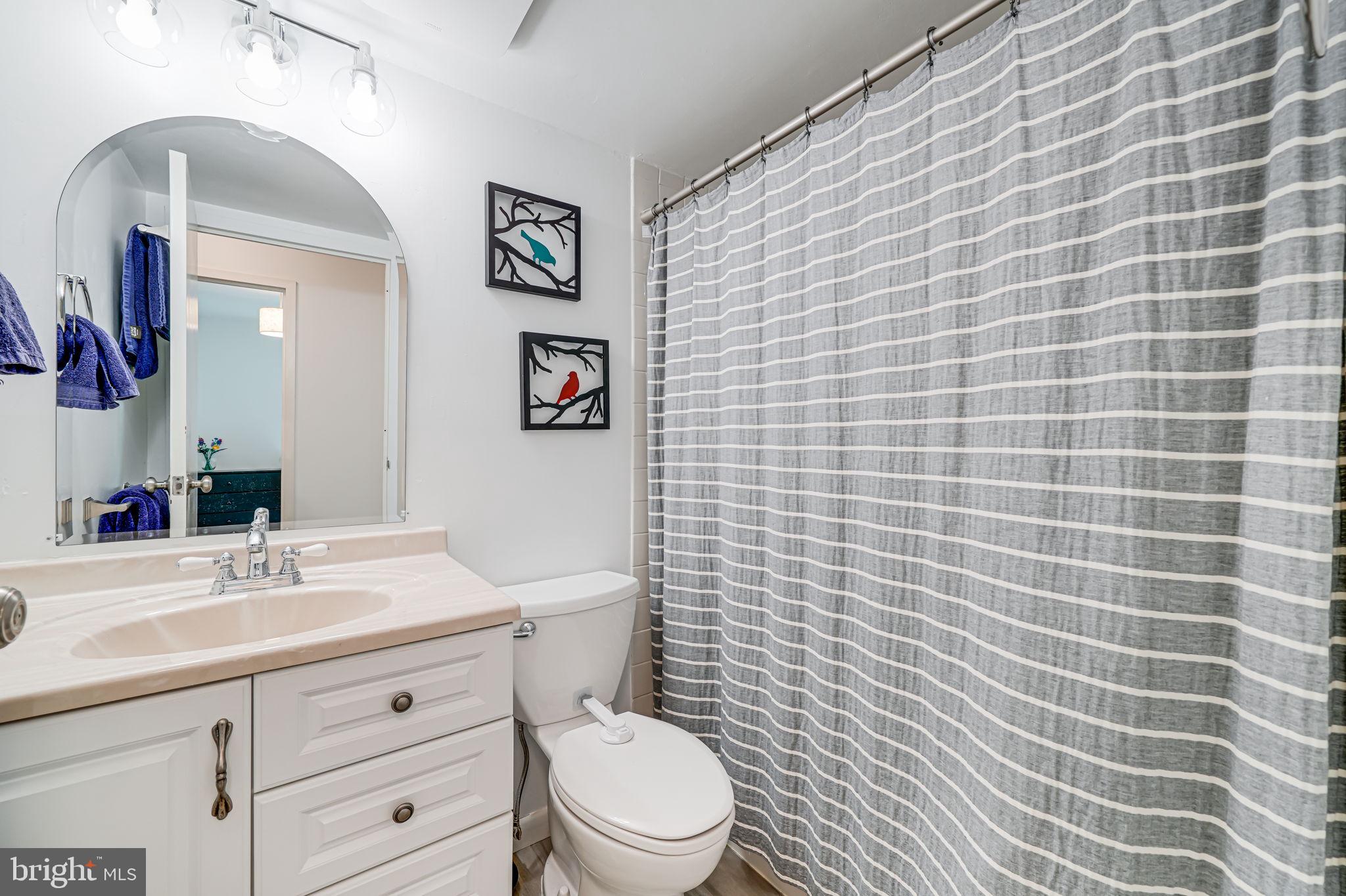 11220 Chestnut Grove Square, Unit 222 Reston, VA 20190 - Photo 22 of 35 a bathroom with a sink a toilet and mirror